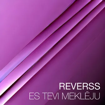 Es Tevi Meklēju by Reverss