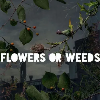 Flowers or Weeds by BACK2THEGARDEN