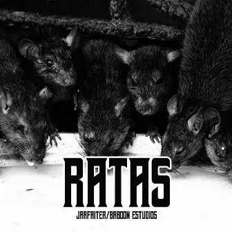 Ratas by BaboonEstudios