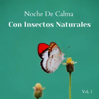 Noche De Calma Con Insectos Naturales Vol. 1 by Música para conciliar el sueño