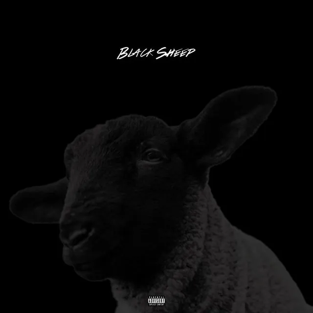 Black Sheep