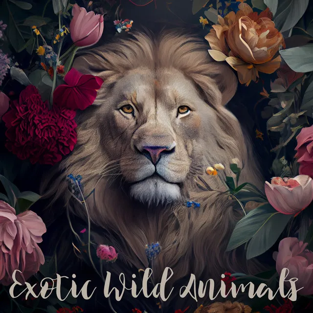 Exotic Wild Animals: Wildlife in Forest, Calming Nature Music