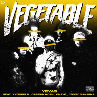 Vegetable by YeyaS