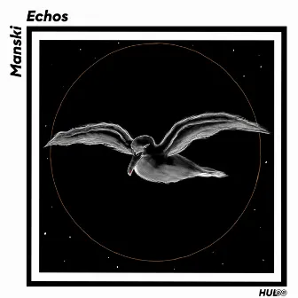 Echos by Manski