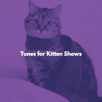 Tunes for Kitten Shows by Calm Classic Jazz