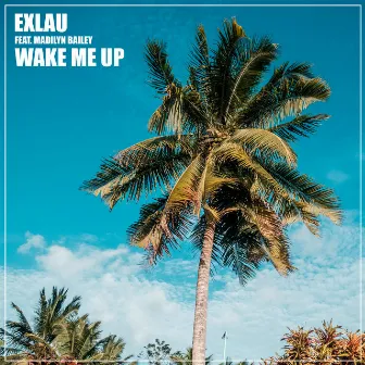 Wake Me Up by Exlau