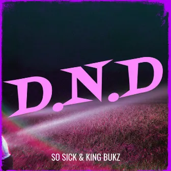 D.N.D by King Bukz