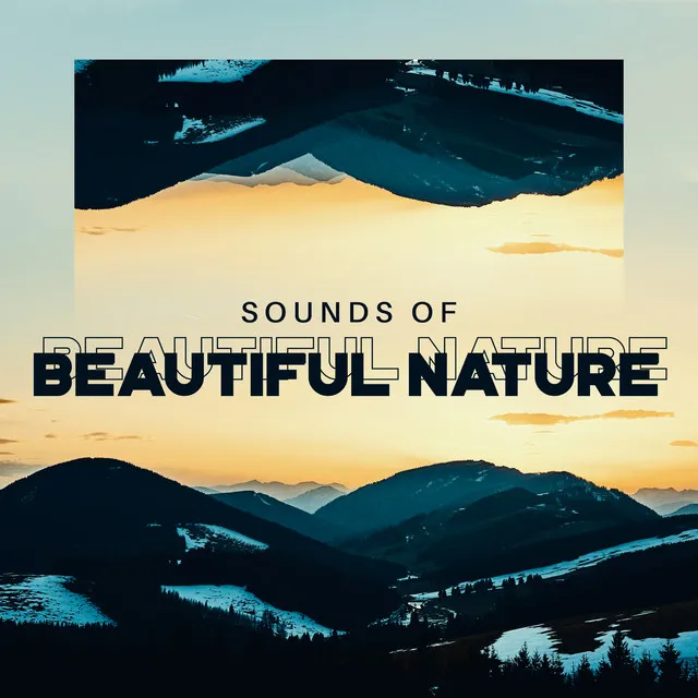 Sounds of Beautiful Nature: Feel Connected with Nature, Stress Relief, Mind Therapy