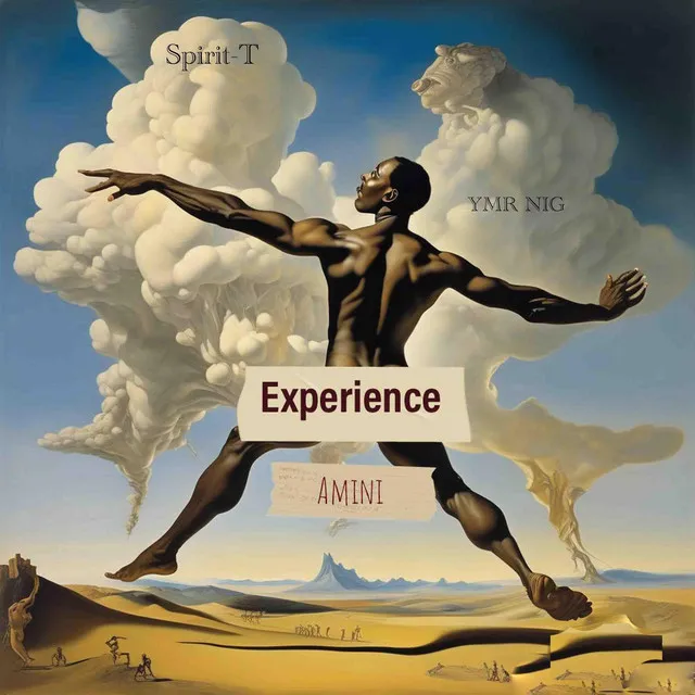 Experience (Amini)