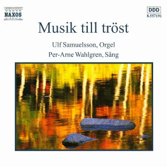 Musik till tröst by Per-Arne Wahlgren