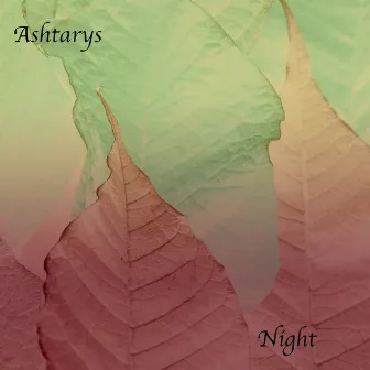 Night by Ashtarys