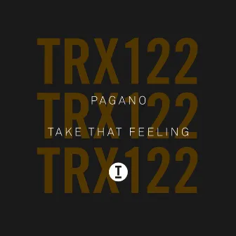 Take That Feeling by Pagano