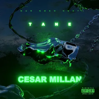 Cesar Millan by TANE