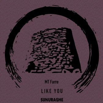 Like you by MT Farre