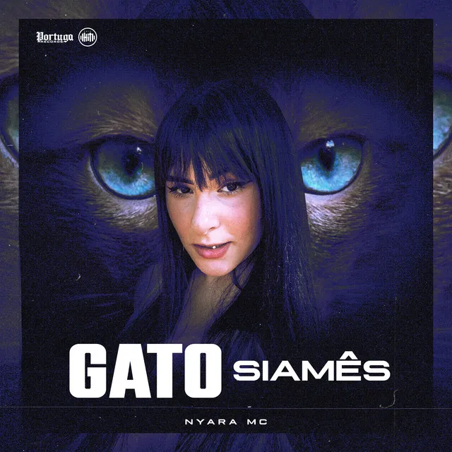 Gato Siamês