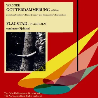 Wagner: Gotterdammerung by Oivin Fjeldstad