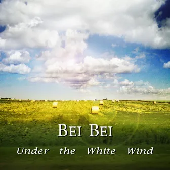 Under the White Wind by Bei Bei