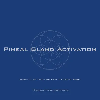 Pineal Gland Activation (Decalcify, Activate, and Heal the Pineal Gland) by Magnetic Minds Meditations