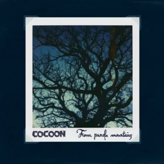 From Panda Mountains by Cocoon