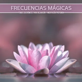 Frecuencias Mágicas: Tonos Isocrónicos para Relajación y Meditación Profunda by Paula con Aroma