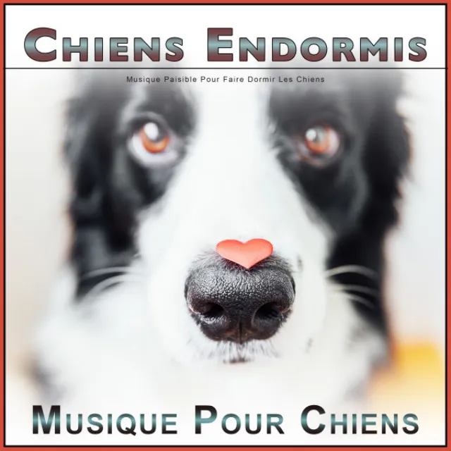 Musique relaxante pour chiots