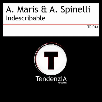 Indescribable by Albert Maris & Andy Spinelli