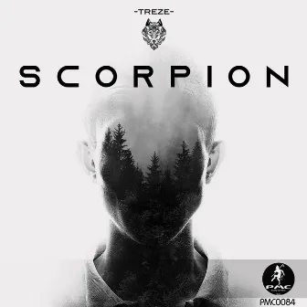 Scorpion by Treze