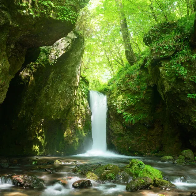 River's Inner Tranquility: Streamside Chorale of Peace