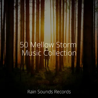 50 Mellow Storm Music Collection by Easy Sleep Music