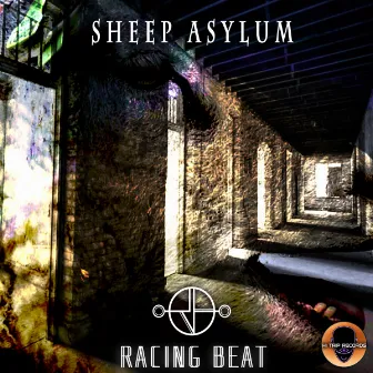 Sheep Asylum by Racing Beat