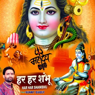 Mahadev Har Har Shambhu by Sunny Dubey