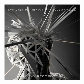 Reasons by Tavi Castro