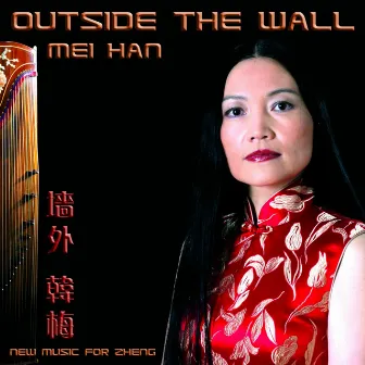 Outside the Wall by Mei Han