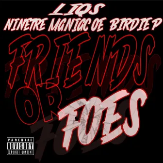 Friends Or Foes by Liqs