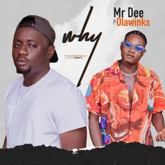 Why by Mr Dee