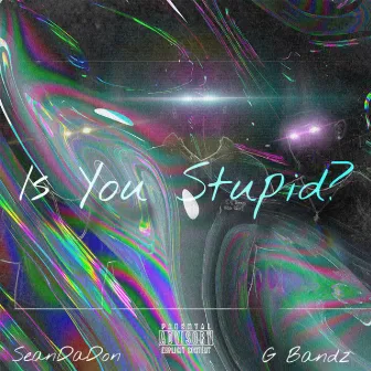 Is You Stupid? by SeanDaDon