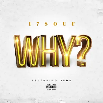 Why? by 17souf