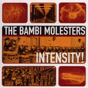 Intensity! by The Bambi Molesters