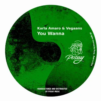 You Wanna by Karla Amaro