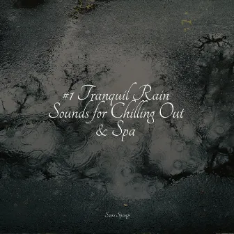 #1 Tranquil Rain Sounds for Chilling Out & Spa by Sampling XL