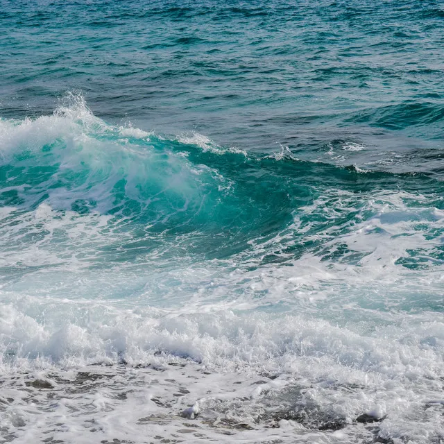 Dormirse Sonidos de las olas del mar