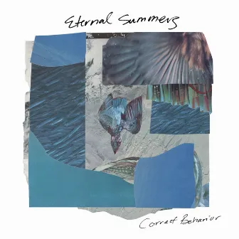 Correct Behavior by Eternal Summers