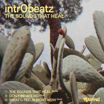 The Sounds That Heal by Intr0beatz