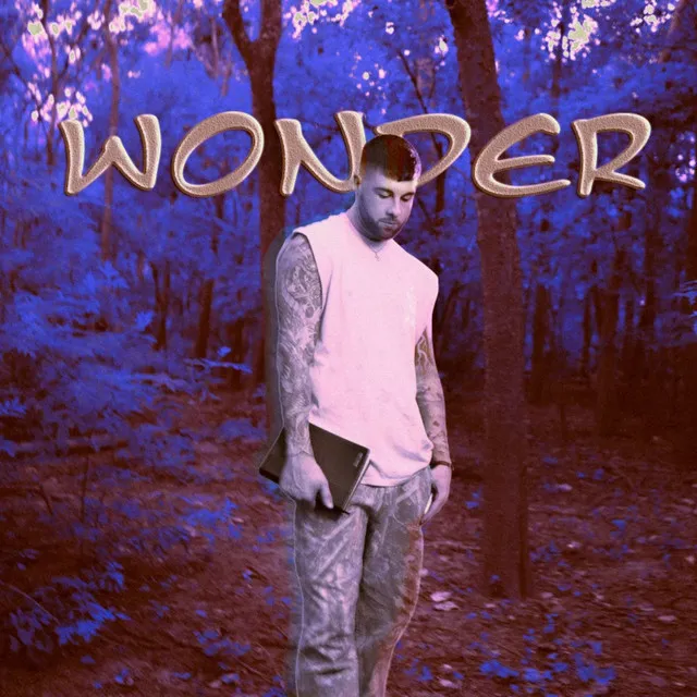 WONDER