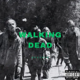 Walking Dead by BraxNFG