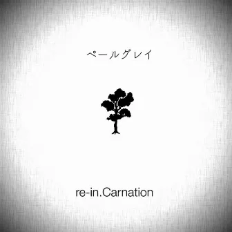 Pale gray by re-in.Carnation