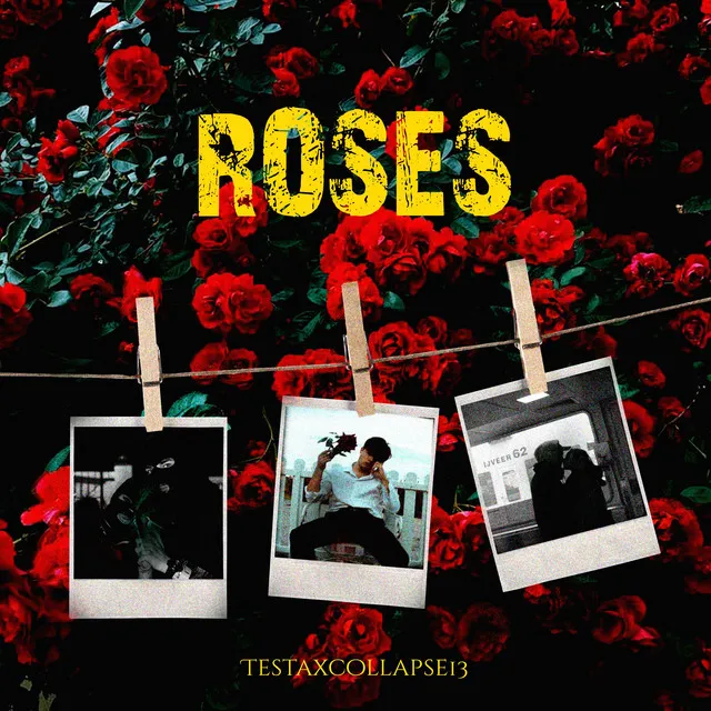 Roses