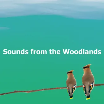 Sounds from the Woodlands by Actors of Nature