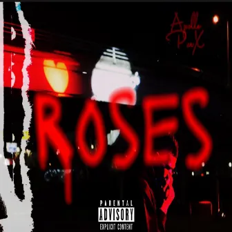 ROSES by 