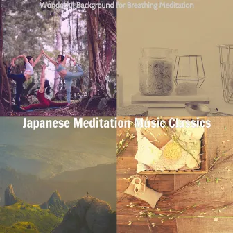 Wonderful Background for Breathing Meditation by Japanese Meditation Music Classics